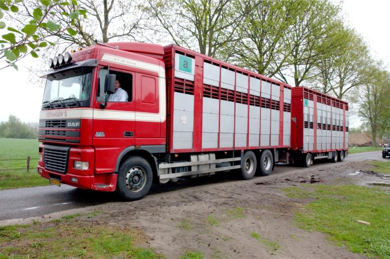 Vanuit vaccinatiezone II is export naar Kosovo, Spanje, Italië, Egypte en Zwitserland onder bepaalde voorwaarden mogelijk