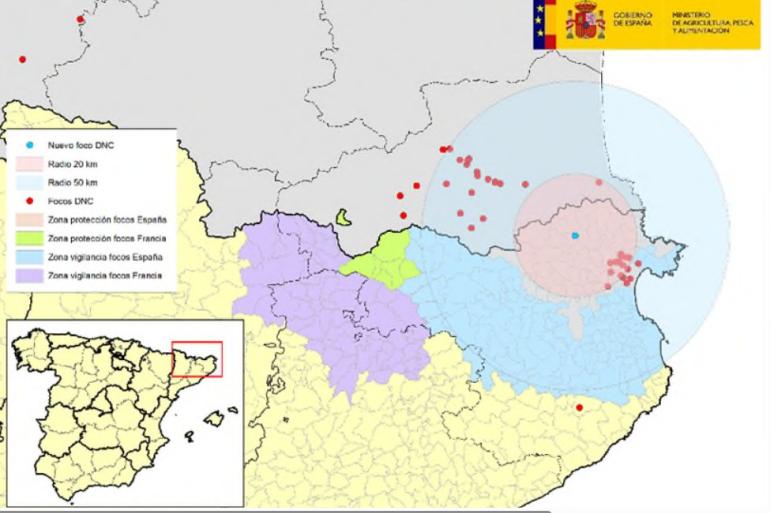 Het getroffen bedrijf ligt in het noordoosten van Spanje, vlakbij de Franse grens (beeld: Ministerio de Agricultura, Espagna)