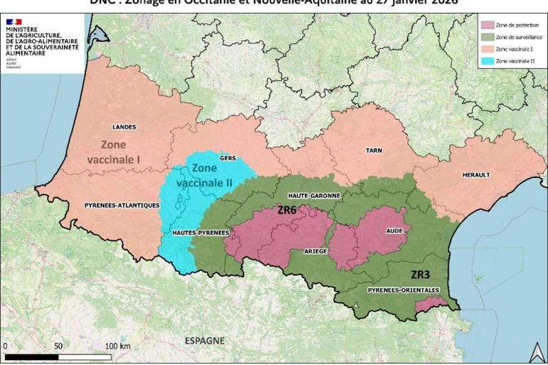 Meer dan 500 gemeenten in de departementen Gers, Pyrénées-Atlantiques en Hautes-Pyrénées hebben nu de status Vaccinatiezone type II, waardoor transport weer mogelijk wordt