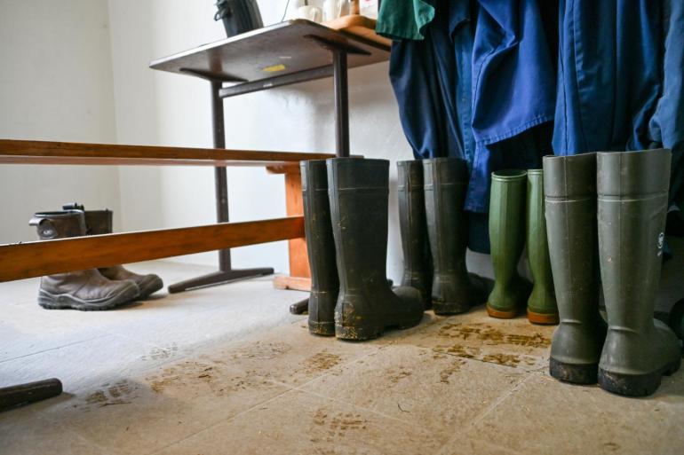 District Kleve roept veehouders in de regio op om extra alert te zijn en bioveiligheidsmaatregelen strikt na te leven