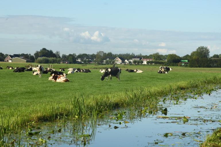 De gemiddelde leeftijd van grasland is het hoogst op de veengronden in Noord- en West-Nederland