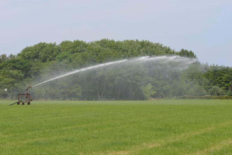 Zonder beregening en zonder extra maatregelen om water vast te houden, zal klimaatverandering in 2050 op De Marke leiden tot een vermindering van de grasopbrengst met 9 procent
