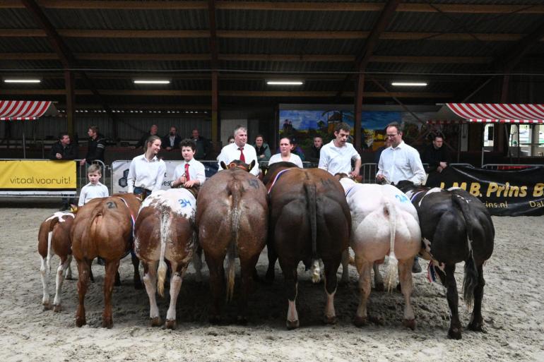 reeks kampioenen Hulshorst vrb