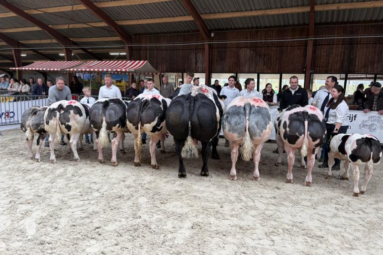kampioenen hulshorst bwb