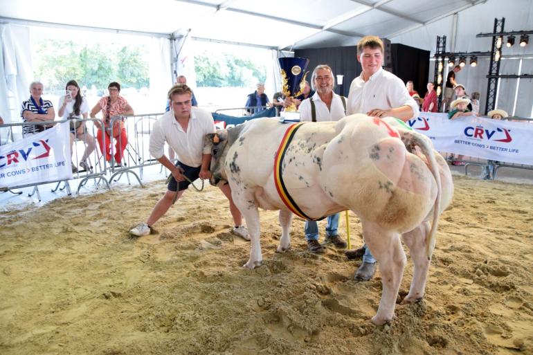 Kamp vaarzen Ulien