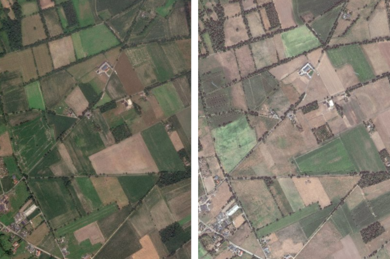 Op satellietbeelden is de verkleuring van het gras goed te zien. Links: 23 juni, rechts 13 augustus, bron: Satellietdataportaal