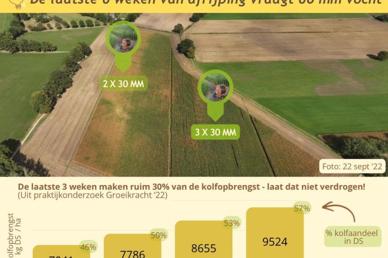 Groeikracht