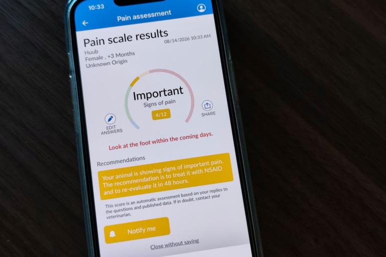 Op basis van verschillende gedragskenmerken volgt een pijnscore, aangevuld met aanbevelingen voor het verminderen en behandelen van pijn