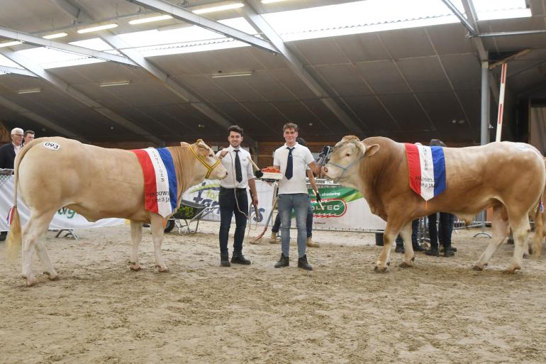 kampioenen 1-3 jaar