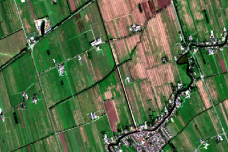 Satellietbeeld van percelen in de Alblasserwaard op 25 september. Percelen met droogteschade worden na de regen weer groen, maar percelen waar muizen hebben huisgehouden blijven kaal (beeld: Groenmonitor Wageningen UR)