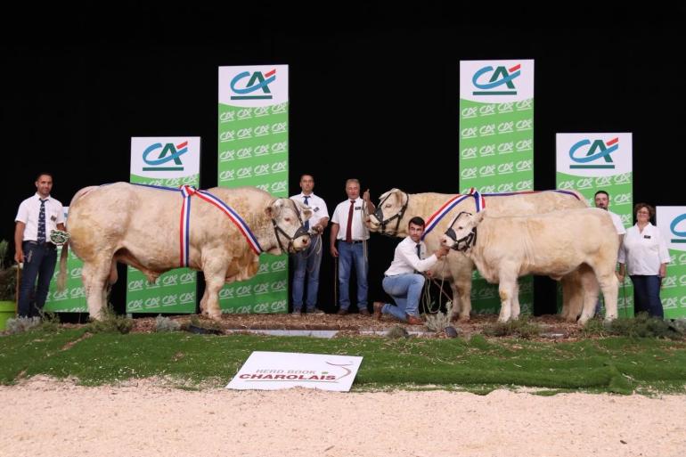 kamp charolais Sommet