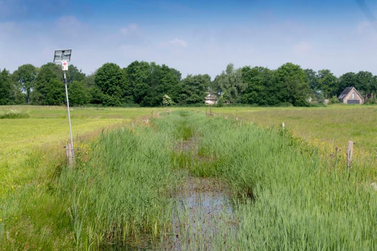 In het nieuwe plan van de Landbouw Alliantie staat onderbouwing van benodigde maatregelen om natuur te herstellen centraal