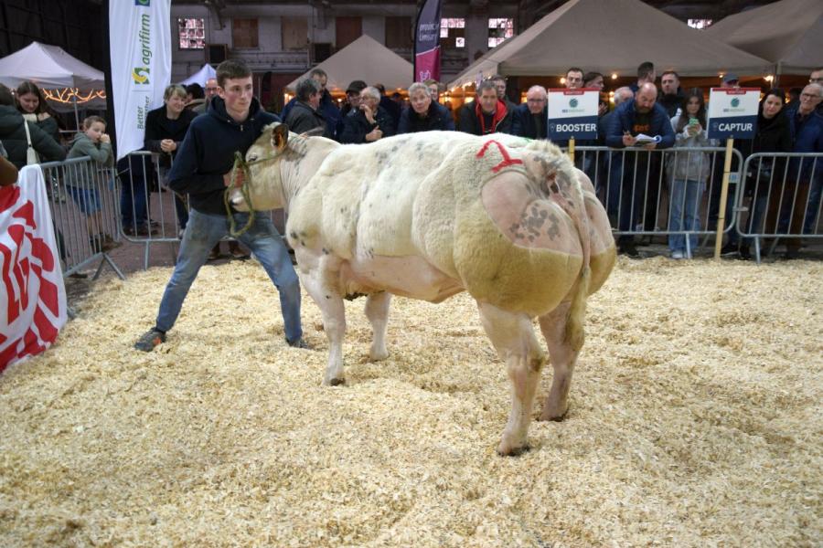 Banquire du Cortil Gayot