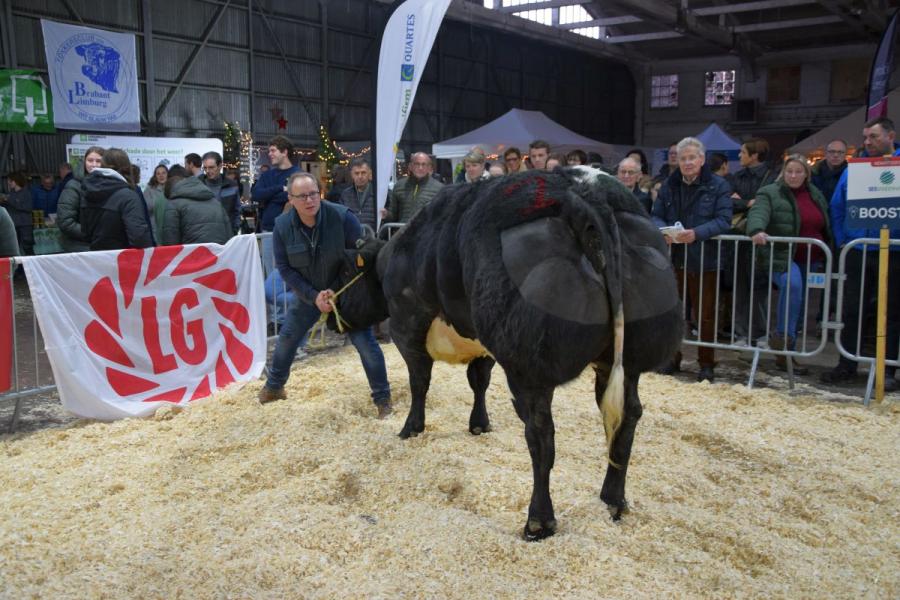Odyssee van het Bareelhof
