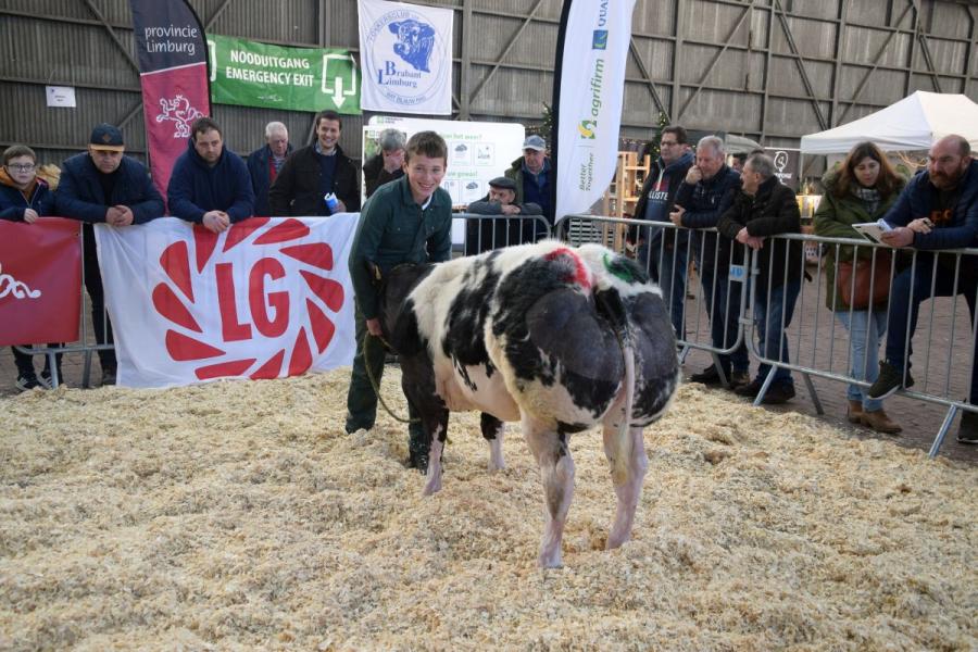 Pastel de Notre Dame