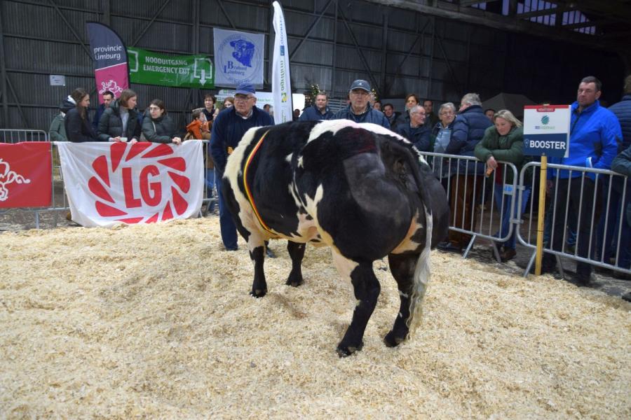 Pipa van het Loobergenhof