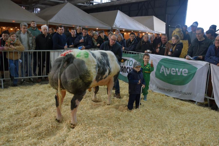 Rakker van het Bareelhof