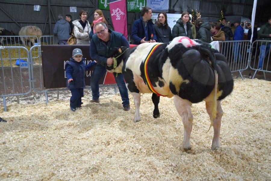 Ratatouille van het Bareelhof