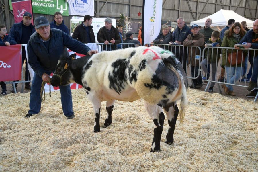 Rebecca van het Loobergenhof