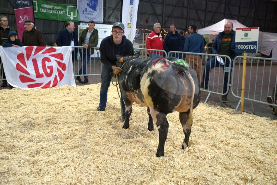 San Francisco van Terbeck