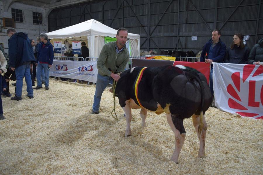 Superstar van Terbeck