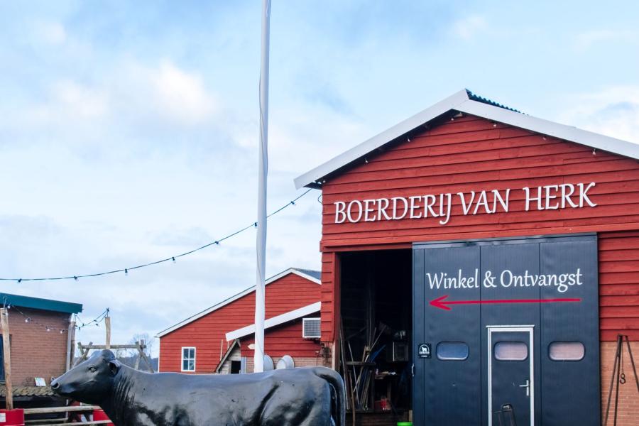Tussen de oud-Hollandse huizen staat een roodgekleurde stal verscholen 