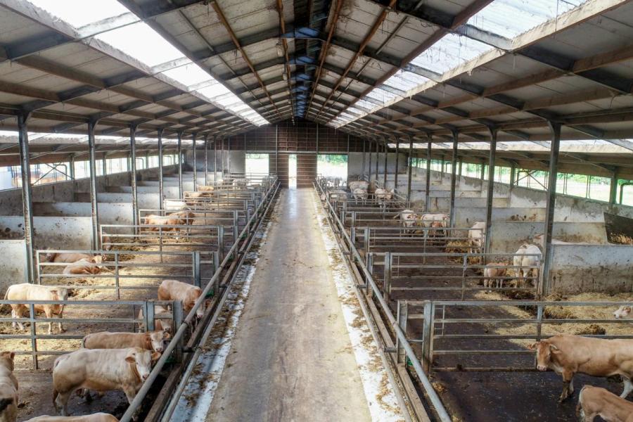 Farm Beef Boutique Zonhoven