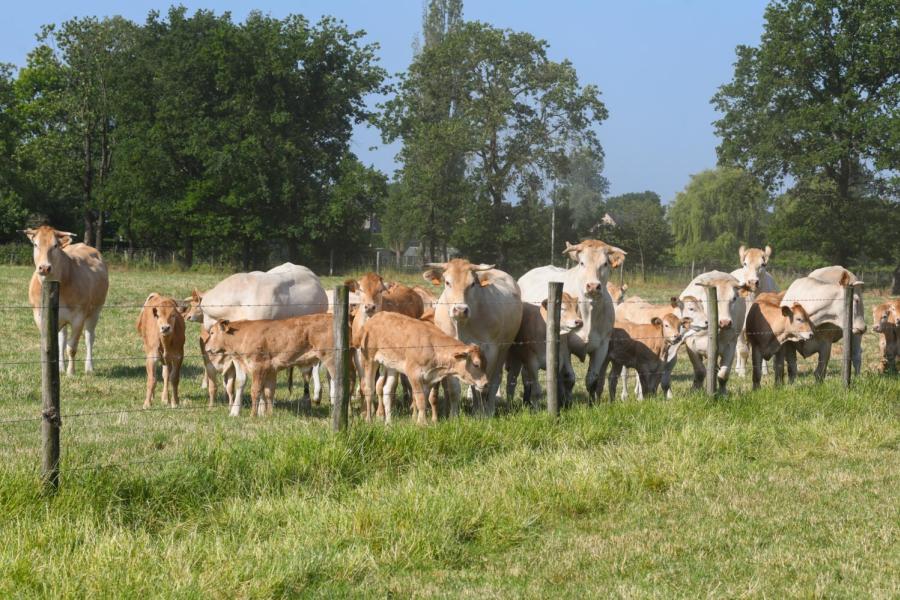 Farm Beef Boutique Zonhoven