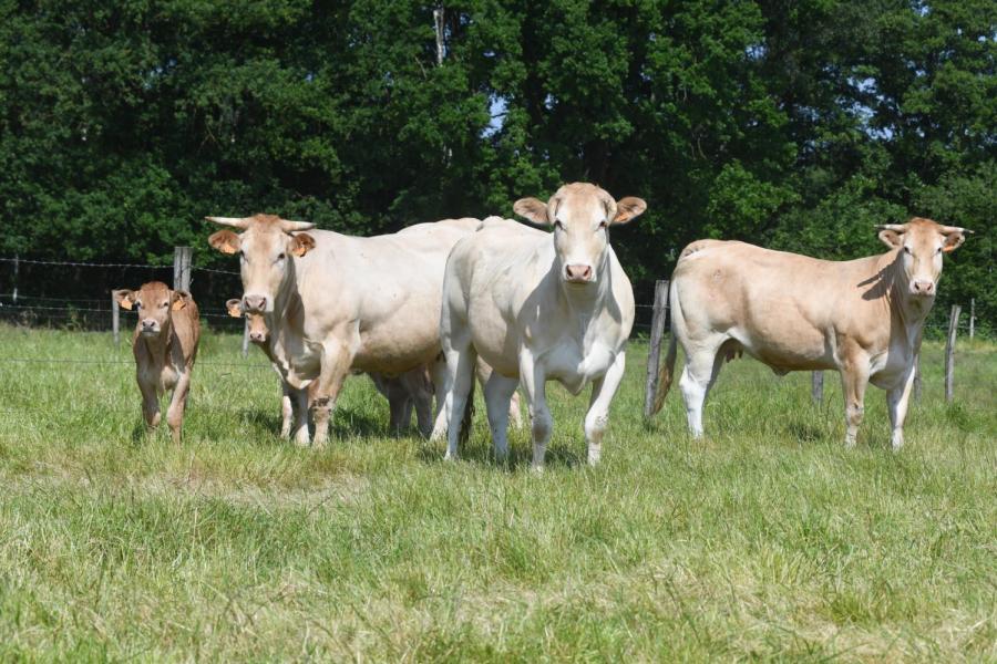 Farm Beef Boutique Zonhoven