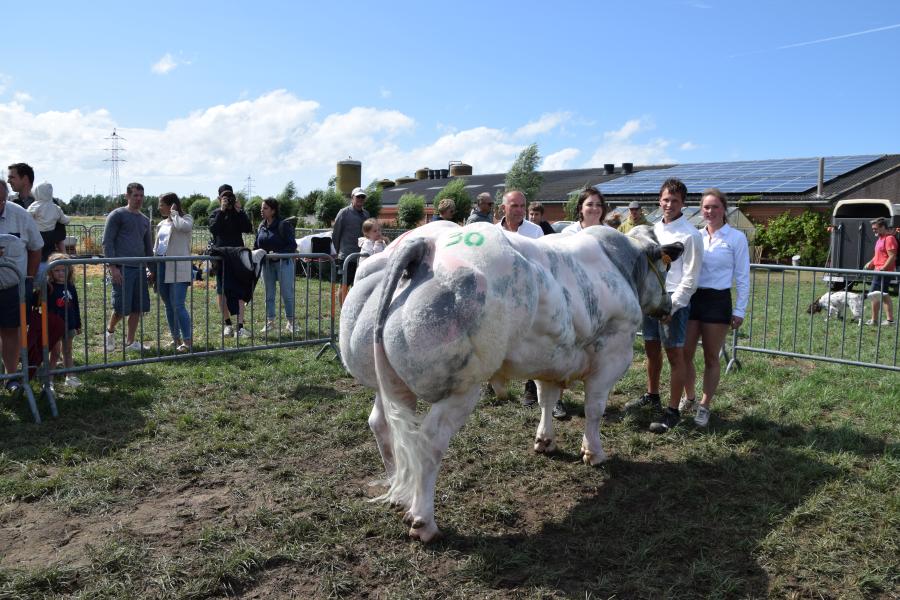 Walhalla van de Sysloberg