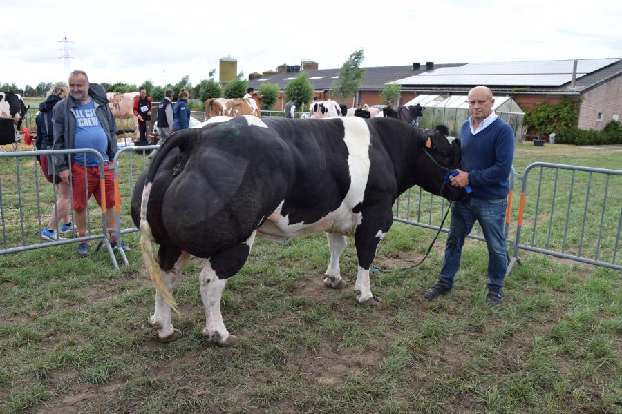 Nathalia van Willecomme