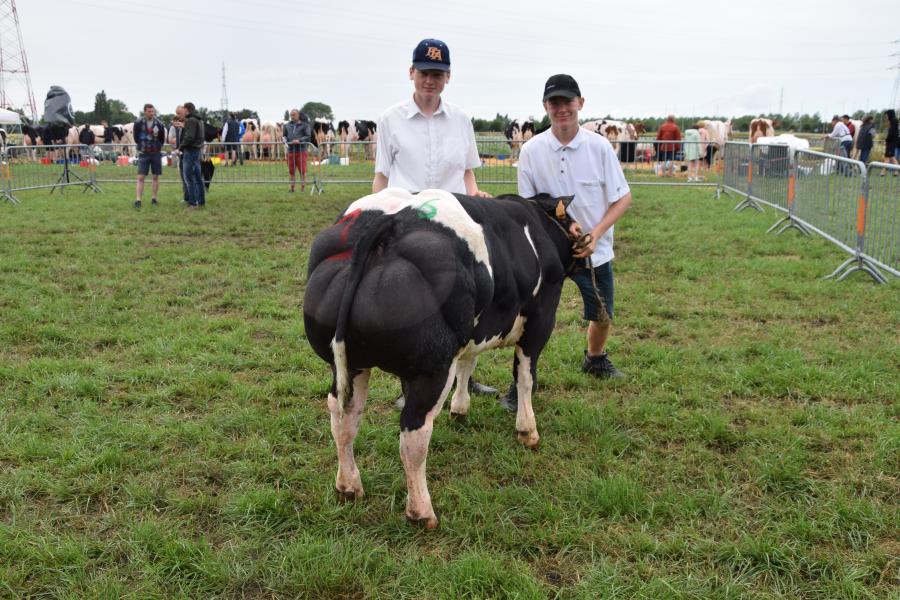 Srulka van het Caloenhof
