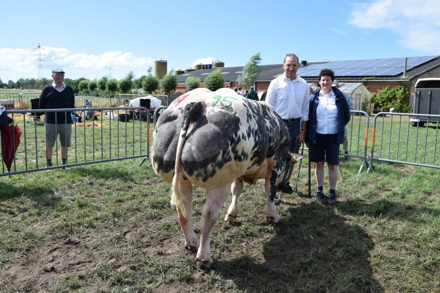 Simao van het Schottenhof