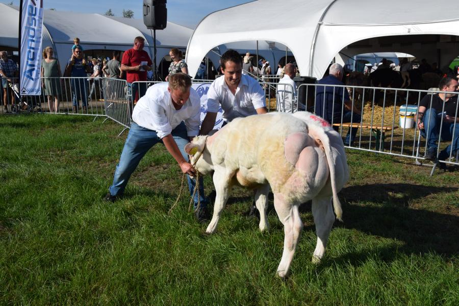 Yvonne van de Roomspolder