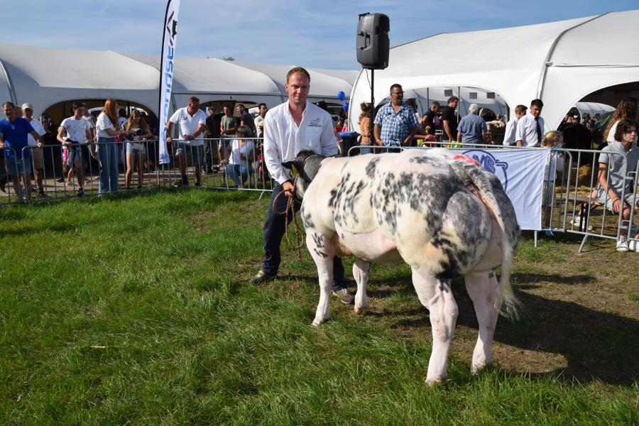 Mariska 46 van Maris