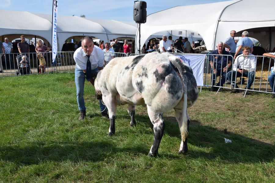 Van de Werler Ramona