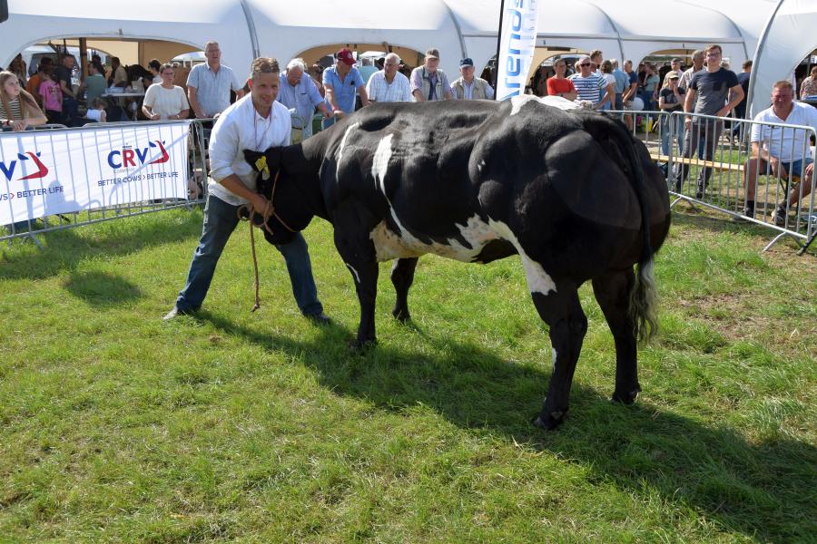 Danique van de Grotewaard