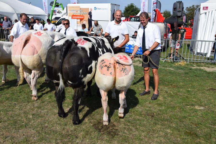zoogstellen Hoornaar
