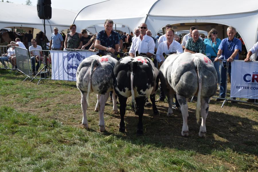 bedrijfslot vrouwelijk