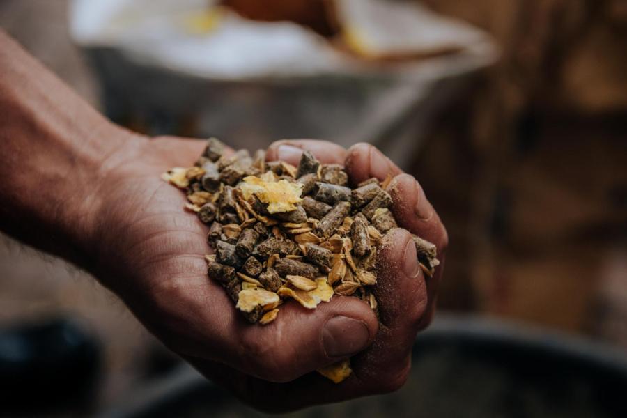 Om de jeugdgroei van de dieren goed te benutten krijgen de kalveren tot een jaar elke dag een kilogram van een zelfgemaakt mengsel van 50 procent kalverbrok, 25 procent perspulp en 25 procent mais-gerstevlokken