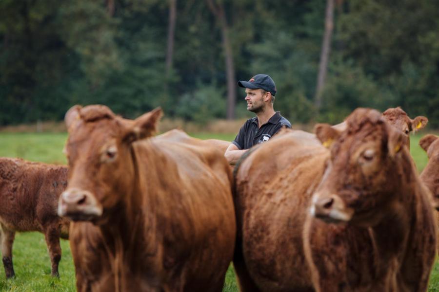 'Elke keer wat nieuws proberen vind ik veel mooier dan altijd maar hetzelfde doen', aldus Jeroen