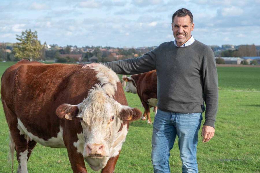 Johan Christiaens houdt in Rollegem 90 herefords op 55 hectare