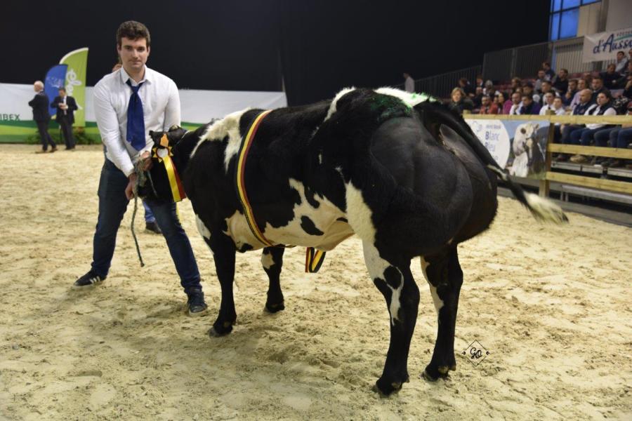 Gouache de Thiboumont