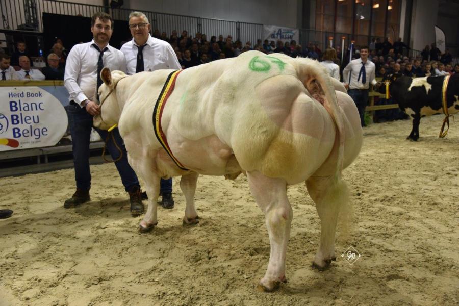 Radio BBCI van de Kerkenhofstede