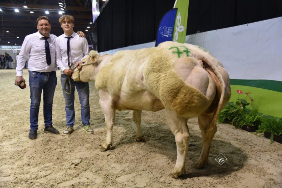 Energie de la Mandebras