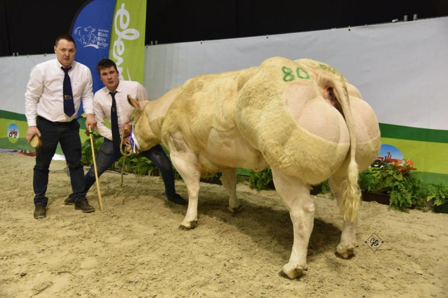 Gabelle de st. Fontaine