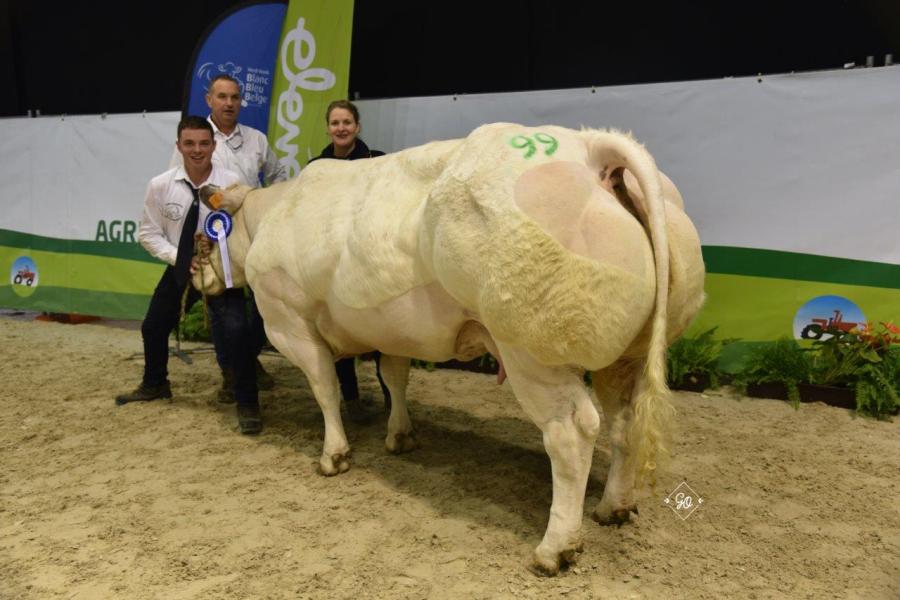 Provence van de Kruisborre