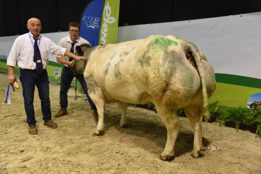 Petronille de Cras Avernas