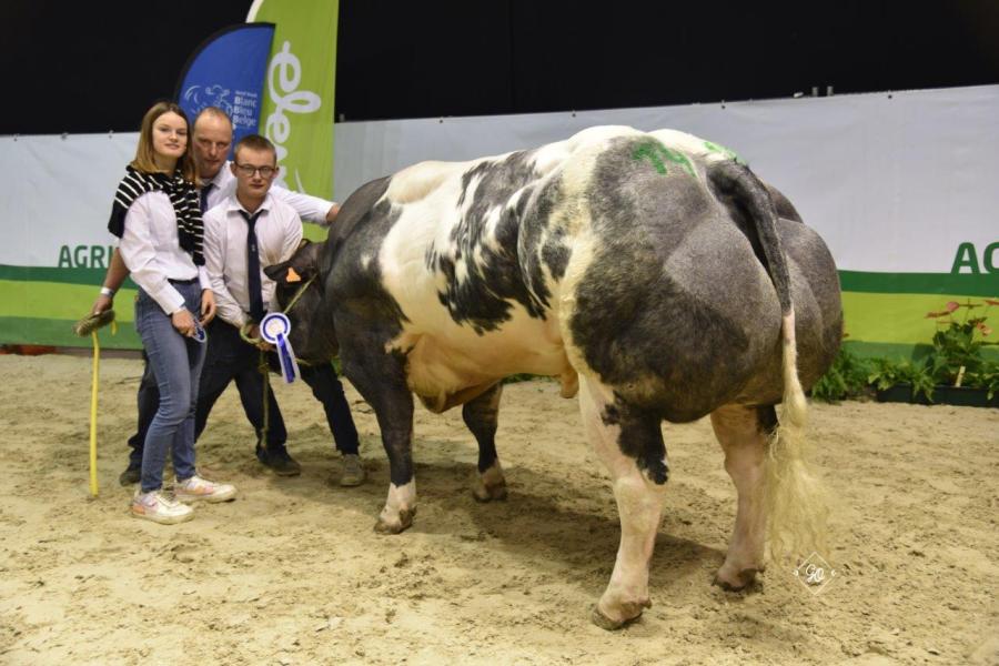 Caribou de la Cleuzeur