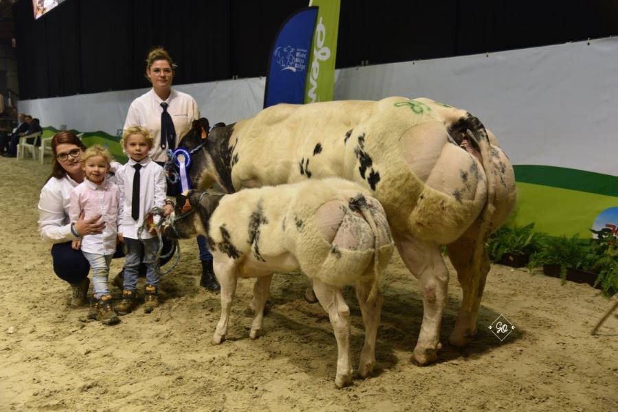 Noellie de la Chevalerie